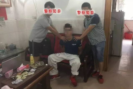 有没有告催收的？揭秘催收行为与法律维权